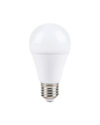 OP=OP LEDmaxx LED lamp E27 17W 2400lm 6500K Daglicht Mat Niet-Dimbaar A60