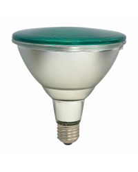 Ledmaxx LED PAR38 Gekleurd E27 15W 90° | IP65 | Groen