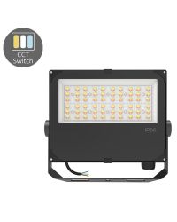 LED Breedstraler Aurus 100W-80W-60W & Instelbare Lichtkleur | IP66