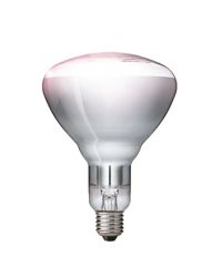 Philips Infraroodlamp E27 250W Helder warmtelamp Ø12.5cm BR125