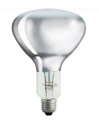Philips Infraroodlamp E27 250W Helder warmtelamp Ø12.5cm BR125