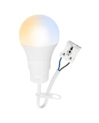 LED verhuislamp 10W 1100lm CCT 3000/4000/6500K met steekklem (bouwlamp / renovatielamp)
