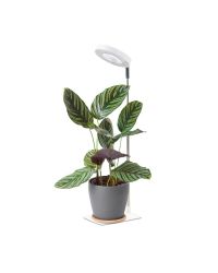 LED Plantengroeilamp VERDI V2 Wit 5W 1300K - USB - Timer & Dimbaar - Kobi Design