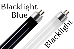 Wat is het verschil tussen blacklight en blacklight blue lampen?